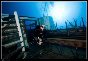 Diver on the Emeperor Fraser. 2 weeks after its sinking. by Dray Van Beeck 
